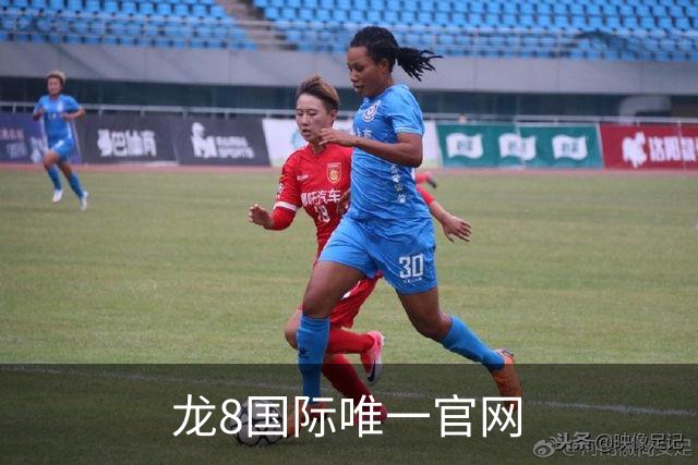 龙8国际唯一官网 公司简介